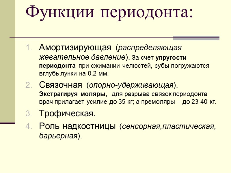 Функции периодонта:  Амортизирующая (распределяющая жевательное давление). За счет упругости периодонта при сжимании челюстей,
